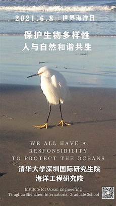 其明确分工是右手拇指专点左手拇指